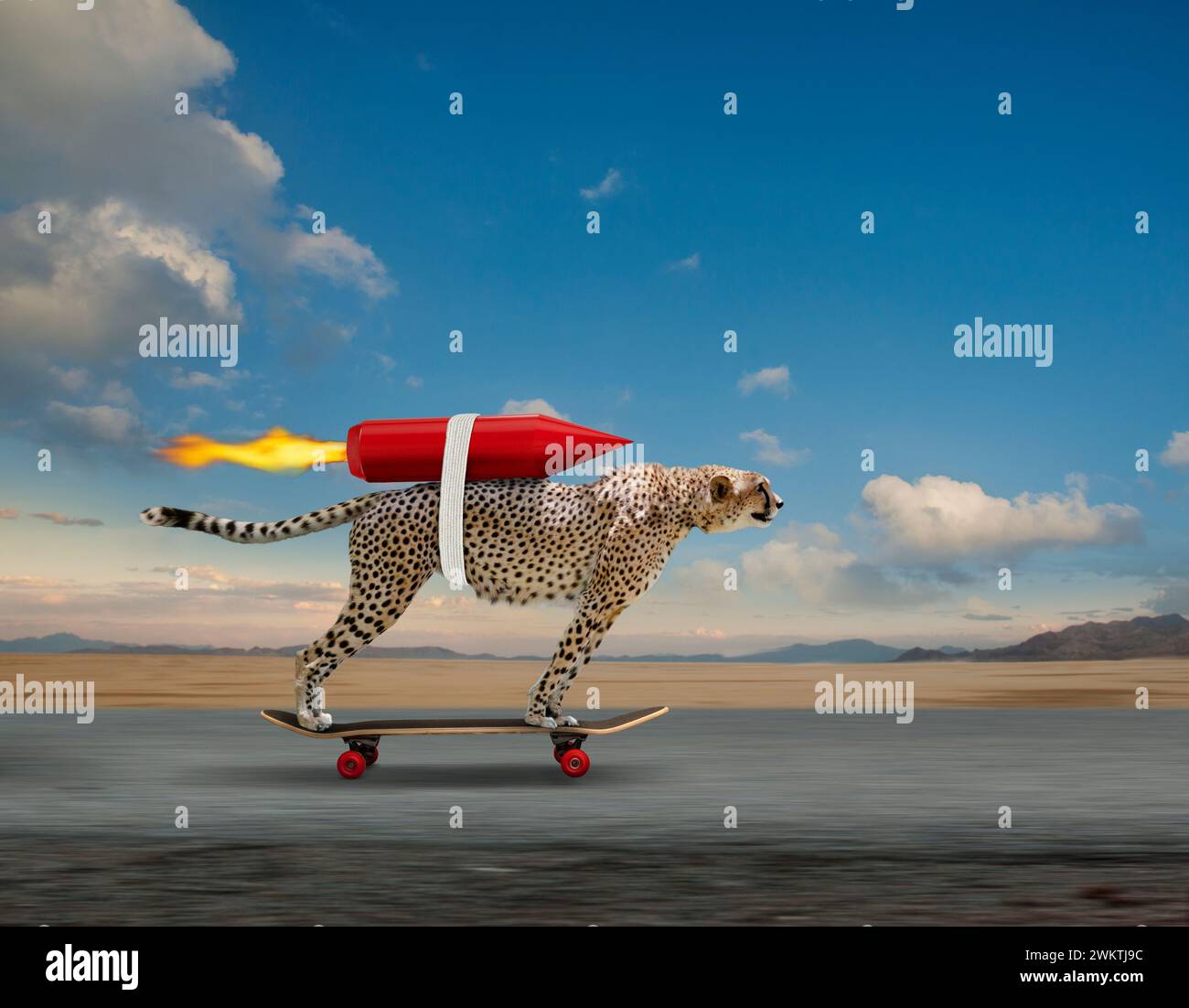Un guépard propulsé par une fusée descend une route sur une planche à roulettes dans une métaphore visuelle drôle de la vitesse. Banque D'Images