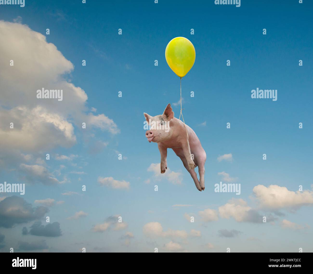 L'idiome "When Pigs Fly" est vu dans cette drôle de photo d'un cochon flottant sous un ballon à travers un ciel dramatique. Banque D'Images