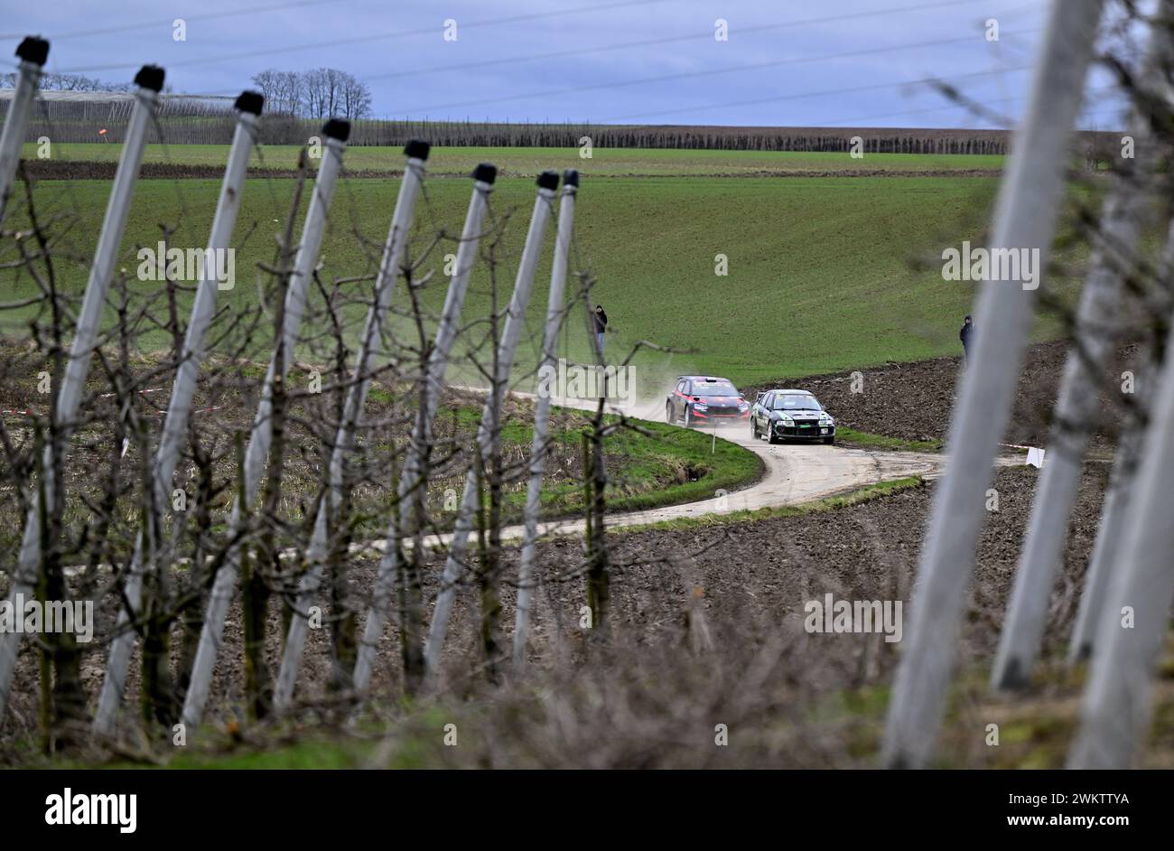 Sint Truiden, Belgique. 22 février 2024. Le néerlandais Jos Verstappen et le belge Renaud Jamoul dans leur Skoda Fabia RS Rally2 (l) photographié en action lors du test Shakedown avant le Haspengouw Rallye de ce week-end, jeudi 22 février 2024 à Sint-Truiden, première étape du Championnat belge des Rallyes. BELGA PHOTO LUC CLAESSEN crédit : Belga News Agency/Alamy Live News Banque D'Images