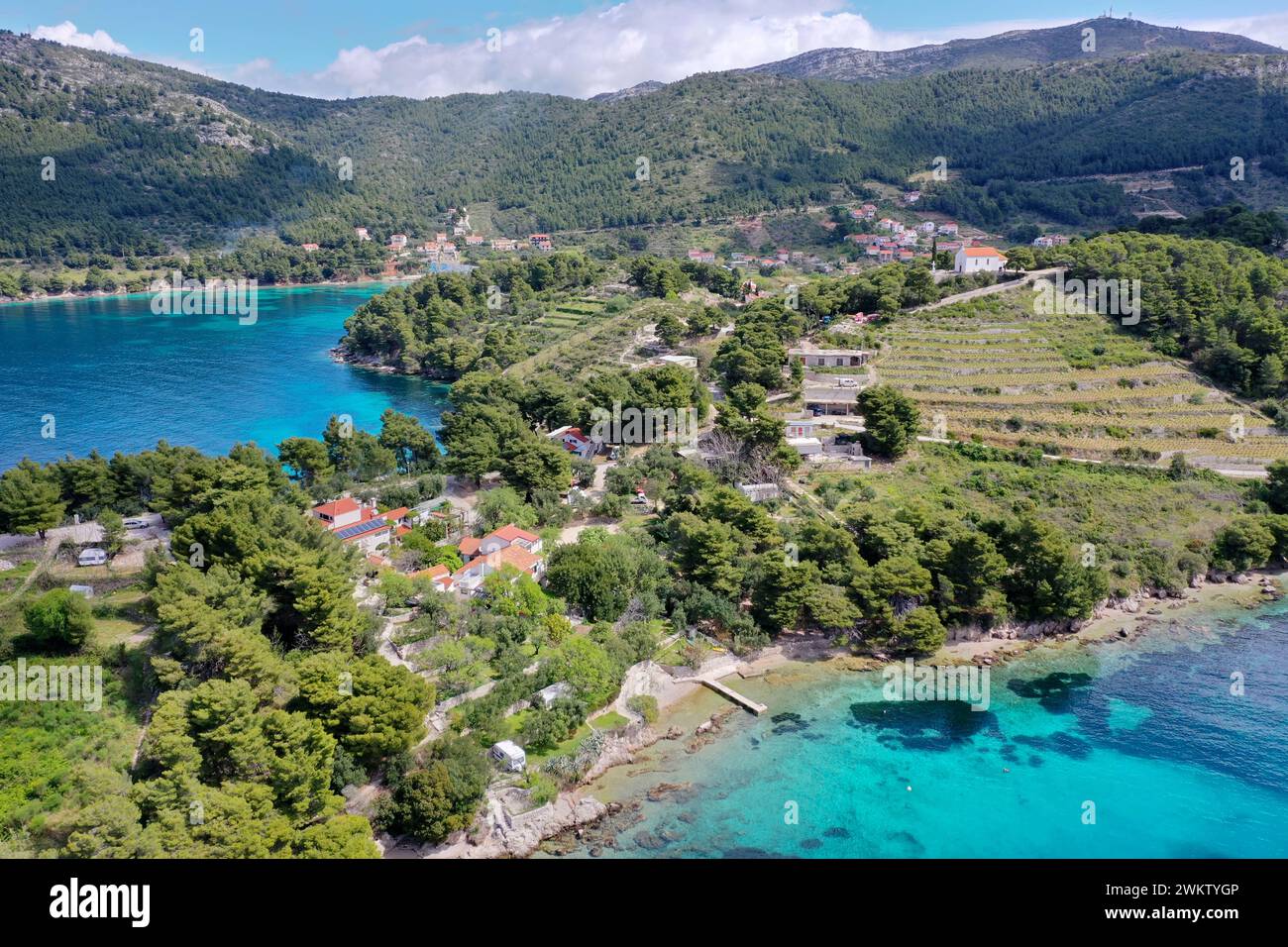 Halbinsel Pelješac, Peljesac, Nähe der Ortschaft Žuljana, Zuljana, im Süden von Kroatien, Adria, Adriatisches Meer, Mittelmeer, Küste, Dalmatien. Pelj Banque D'Images