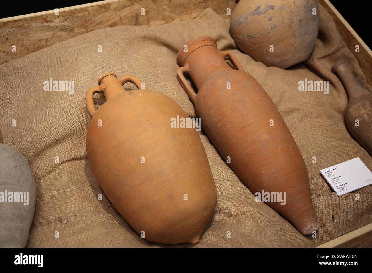 Ère romaine. Amphores de vin. De Pompéi. Terre cuite. Ier siècle après JC. Banque D'Images