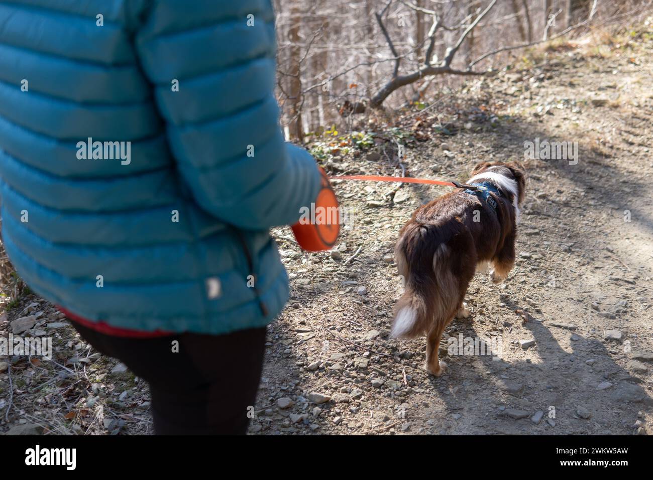 un chien border collie marche en laisse avec son propriétaire sur un sentier de montagne Banque D'Images