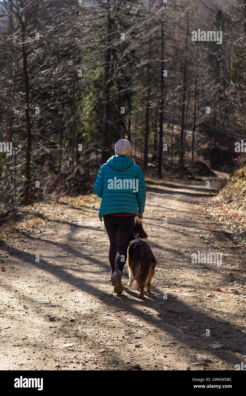 un chien border collie marche en laisse avec son propriétaire sur un sentier de montagne Banque D'Images