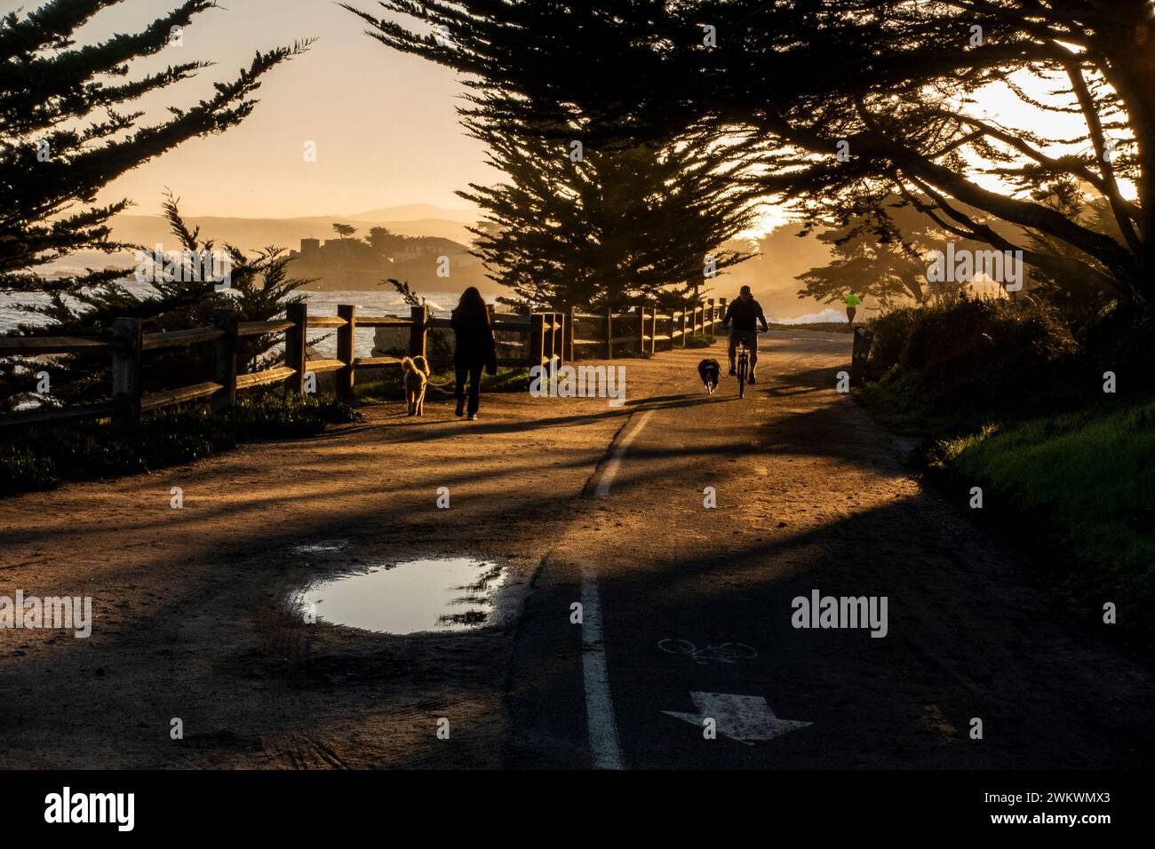 Randonneur et motard, avec leurs chiens, sur le sentier de loisirs balnéaire de Pacific Grove ; Monterey Bay, Californie Banque D'Images