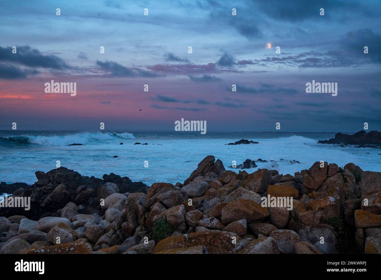 La pleine lune se lève au-dessus du surf à point Pinos, Monterey Bay, Californie Banque D'Images