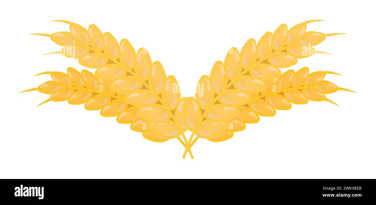 Quatre épis de blé, récolte de céréales, illustration vectorielle jaune du produit de gluten Illustration de Vecteur