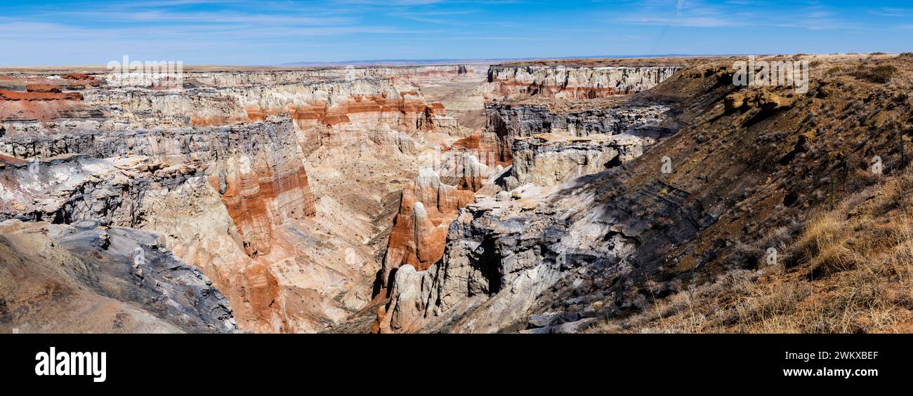 Coalmine Canyon, Leupp, Nation Hopi, Arizona, États-Unis Banque D'Images