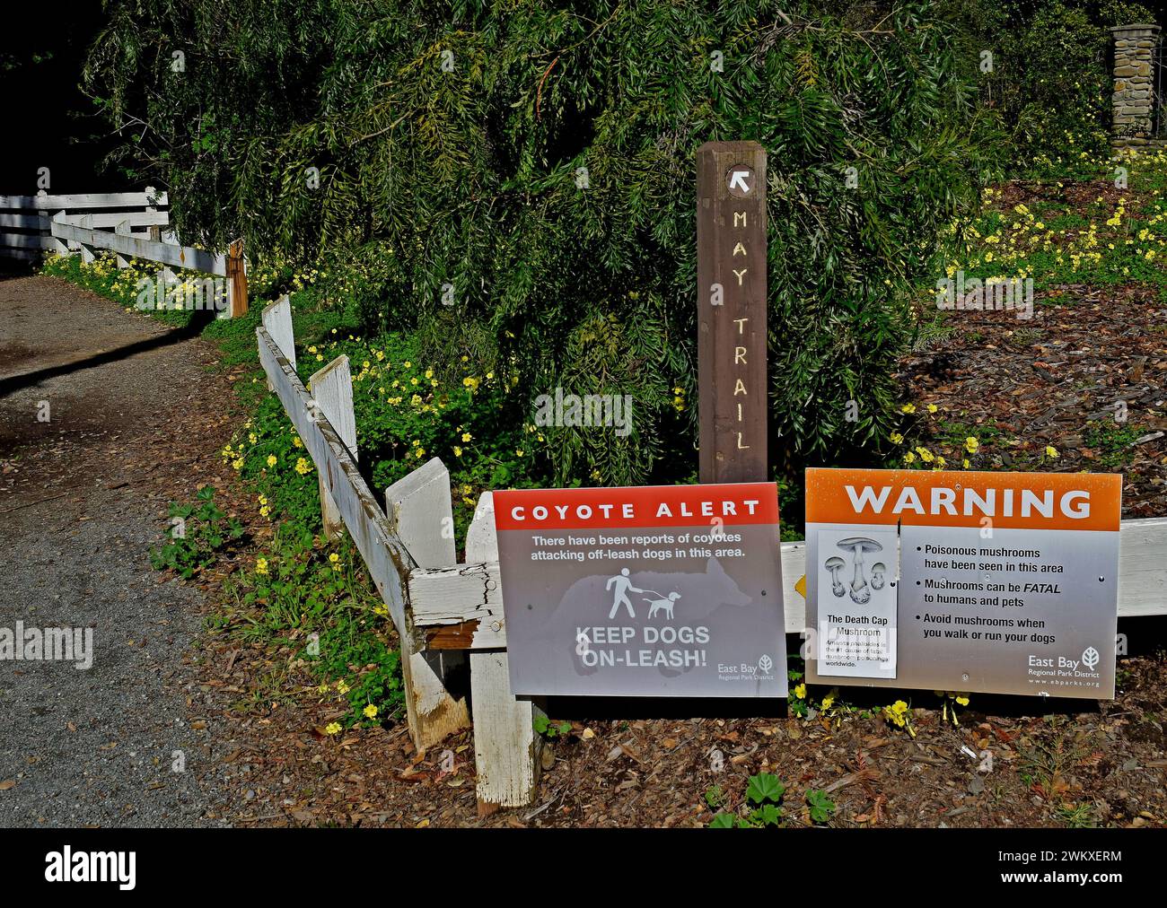 Dry Creek Regional Park, alerte coyote et panneaux d'avertissement pour champignons toxiques à Union City, Californie Banque D'Images