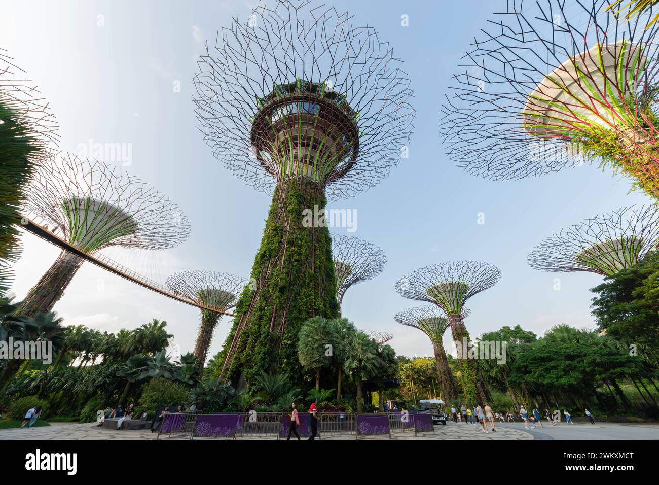 Singapour - août 29,2023 : vue panoramique de la canopée de l'Observatoire Supertree des jardins près de la baie, les gens peuvent voir explorer autour d'elle. Banque D'Images