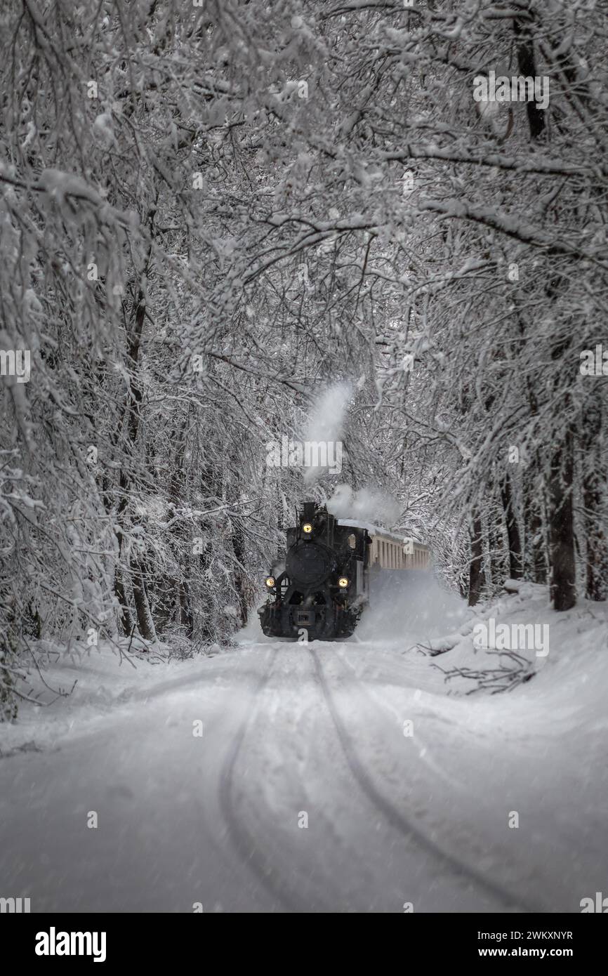 Budapest, Hongrie - Belle scène de forêt d'hiver avec neige, forêt enneigée et vieux moteur de réservoir nostalgique (train pour enfants) sur la piste dans la Buda Banque D'Images