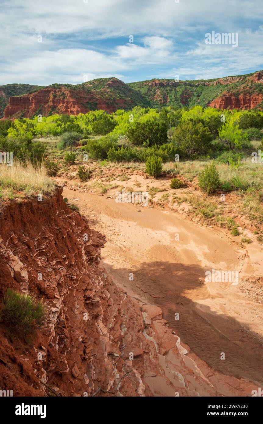 Caprock Canyons State Park, à l'extrémité est de l'Estacado de Llano dans le comté de Briscoe, Texas, États-Unis Banque D'Images