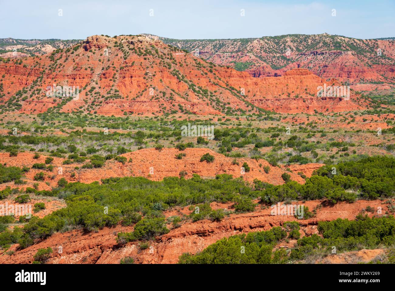 Caprock Canyons State Park, à l'extrémité est de l'Estacado de Llano dans le comté de Briscoe, Texas, États-Unis Banque D'Images