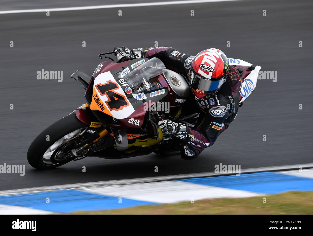 MELBOURNE, AUSTRALIE. 23 février 2024. Sam Lowes (14), de Grande-Bretagne, pilote la Ducati Panigale V4R pour ELF Marc VDS Racing Team lors de la première manche du Championnat du monde de Superbike 2024 sur le circuit de Phillip Island. Crédit Karl Phillipson/Alamy Live News Banque D'Images