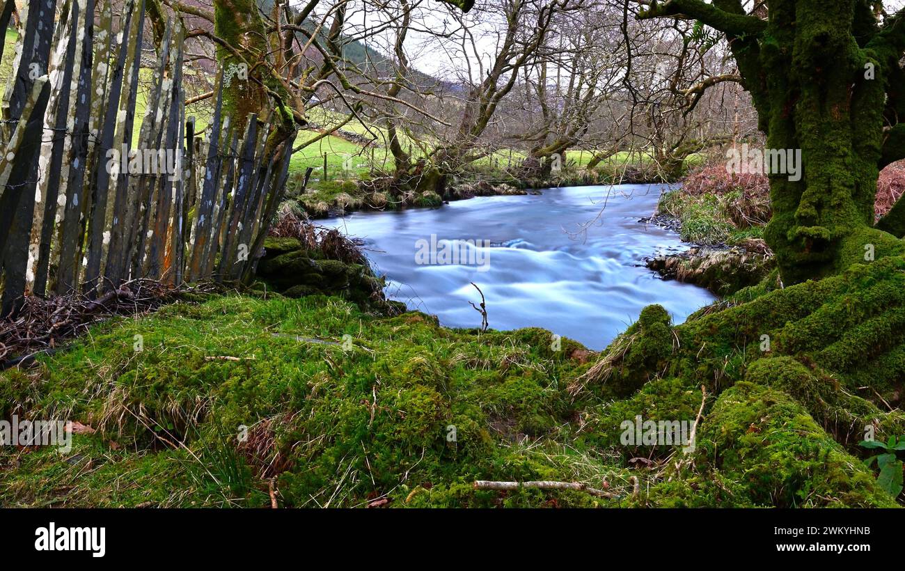 Afon Dulas coulant dans la vallée, Gwynedd Wales Banque D'Images