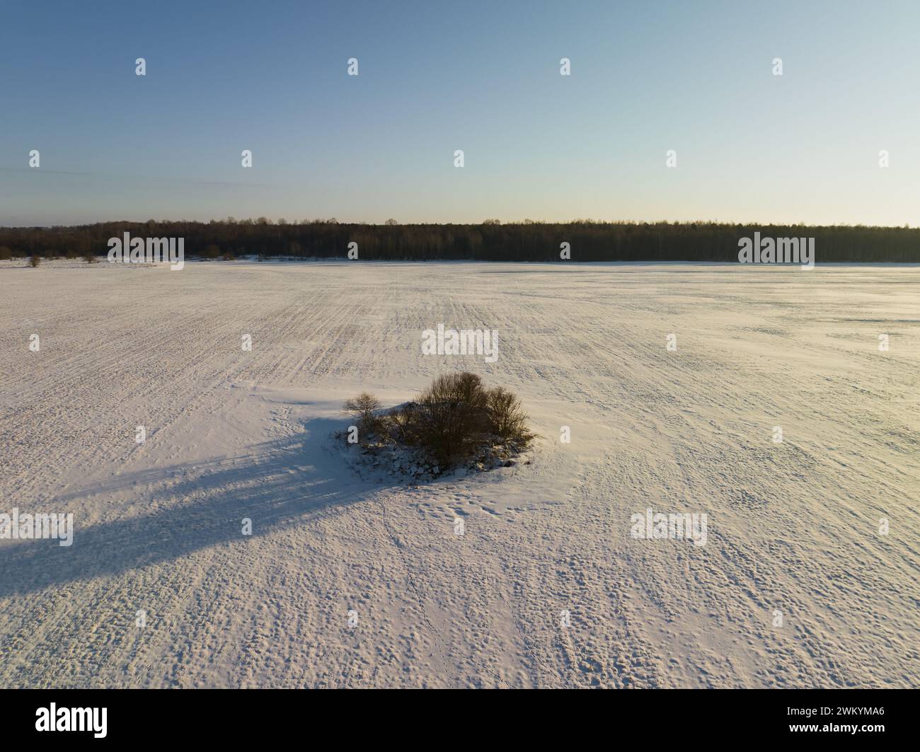 Nature de l'Estonie aux couleurs du drapeau national, ciel bleu, forêt sombre et champ blanc. Drone photo. Photo de haute qualité Banque D'Images