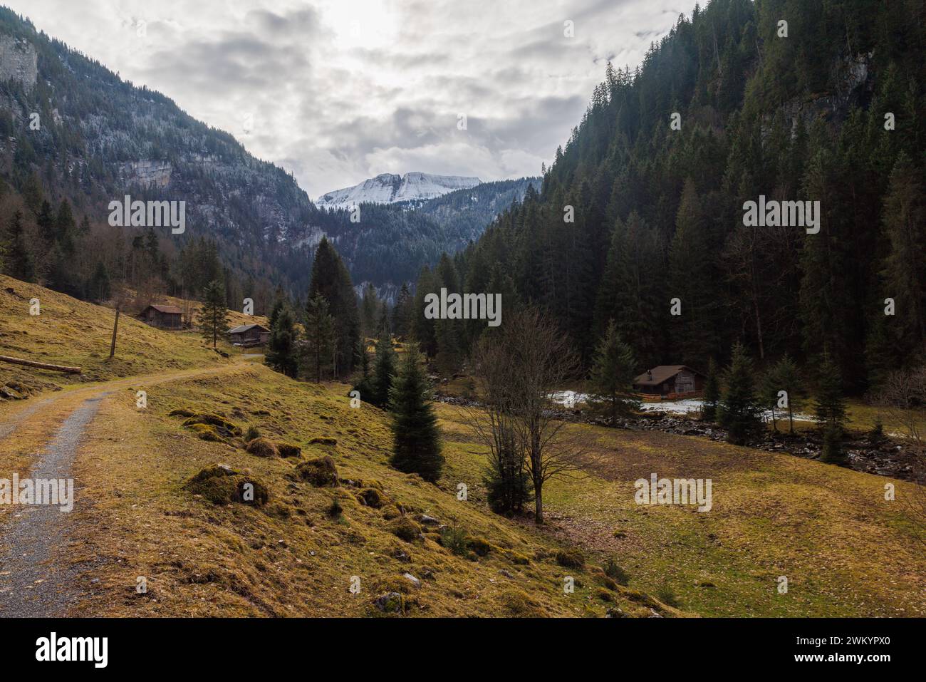 Giessbachtal en hiver sans neige Banque D'Images