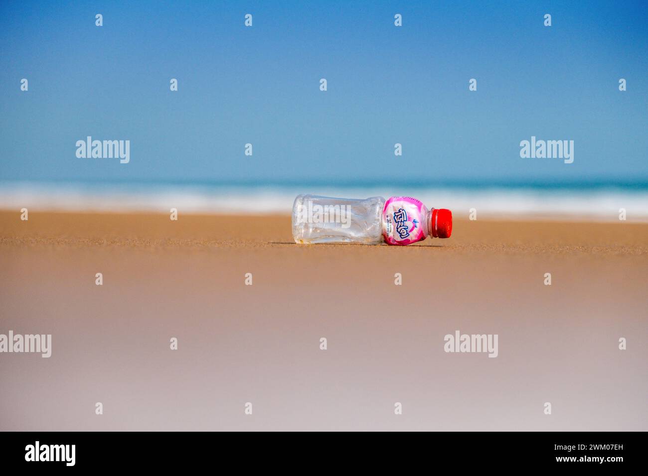 Une bouteille de boisson en plastique sur une plage autrement déserte sur la côte est de l'Inde Banque D'Images