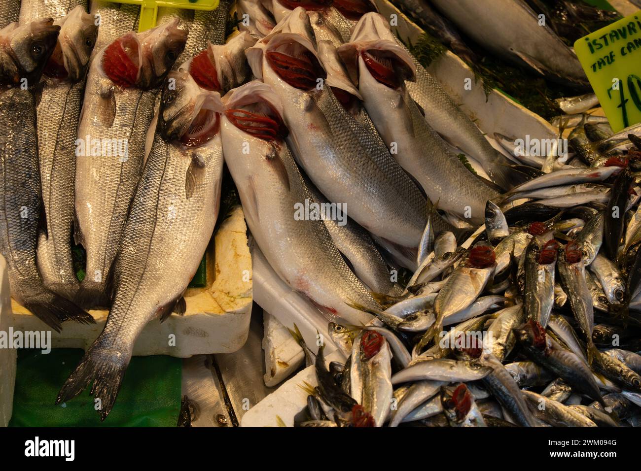 Gros plan de poissons à vendre montrant les branchies rouges dans le marché de Kadikoy Istanbul Banque D'Images