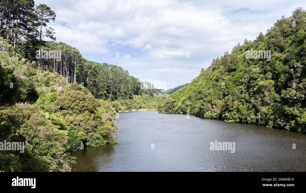 Paysage de jungle exotique avec lac entouré d'une forêt épaisse par une journée ensoleillée, Nouvelle-Zélande Banque D'Images