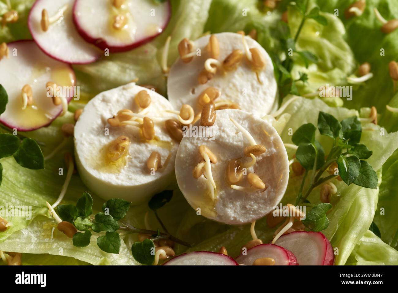 Gros plan de salade de légumes avec fromage de chèvre, pousses de fenugrec et jeune chiches - plante sauvage comestible récoltée à la fin de l'hiver Banque D'Images