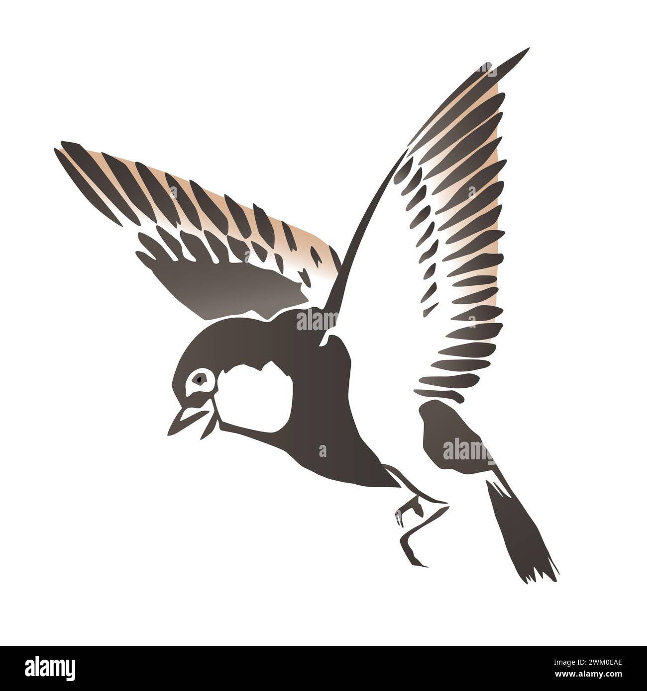Petit oiseau approchant, dans le style de la peinture à l'aquarelle japonaise avec de larges coups de pinceau. Oiseau aux ailes déployées, se tenant dans les airs. Banque D'Images