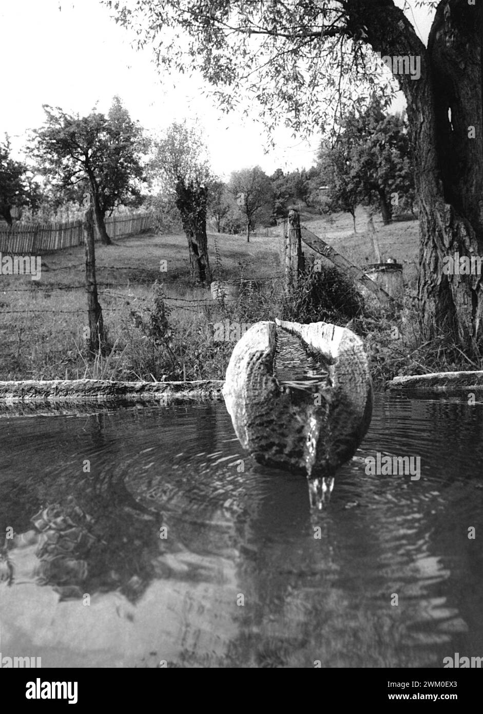 Comté de Vrancea, Roumanie, approx. 1991. Une traversée en bois dans la campagne collectant l'eau d'une source naturelle. Banque D'Images