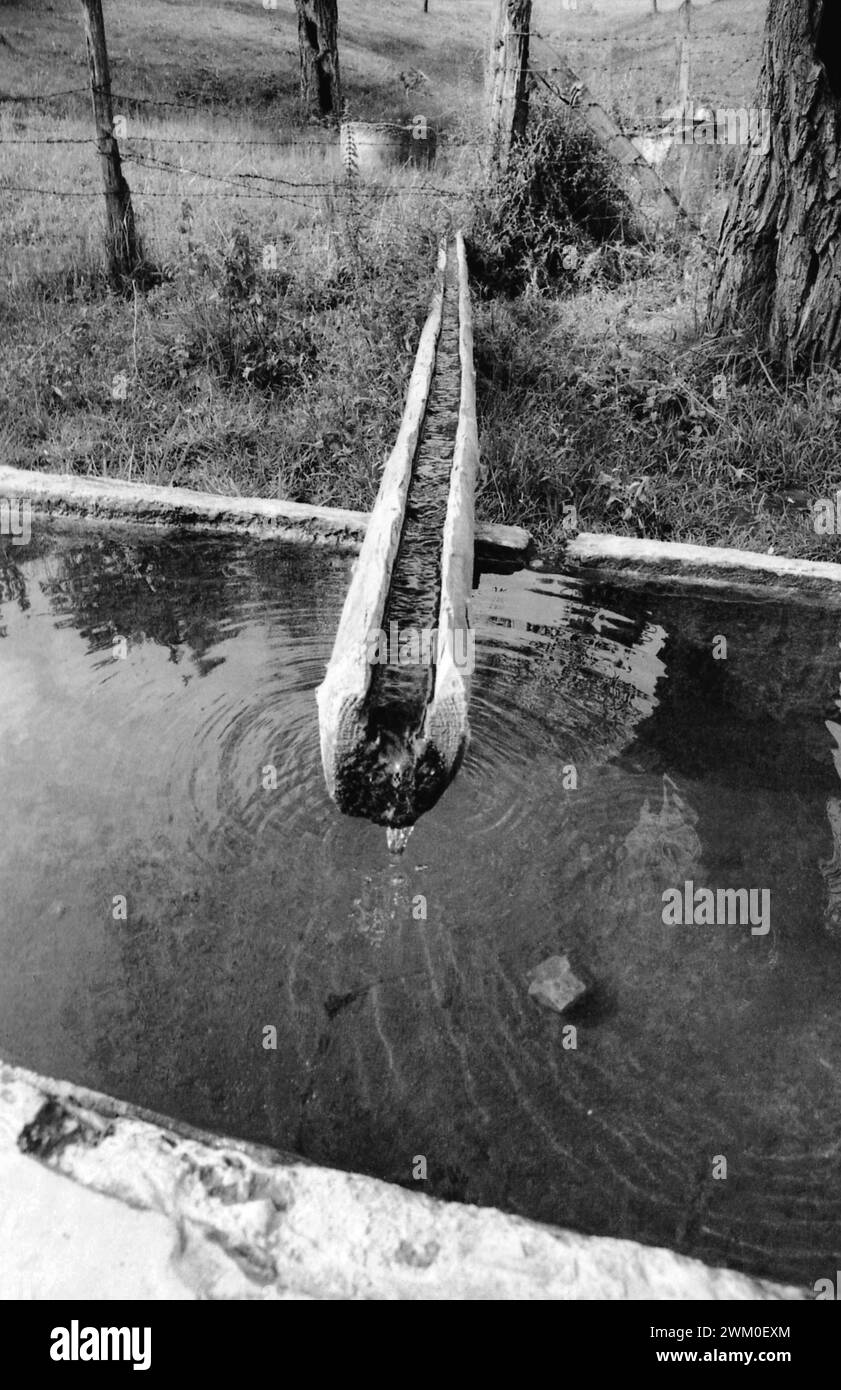 Comté de Vrancea, Roumanie, approx. 1991. Une traversée en bois dans la campagne collectant l'eau d'une source naturelle. Banque D'Images