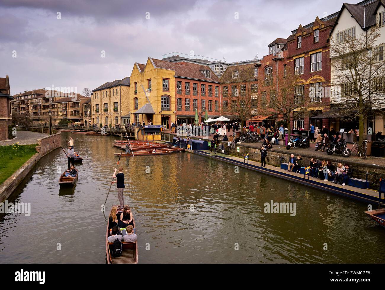 Promenades en barque sur la rivière Cam, Cambridge Banque D'Images