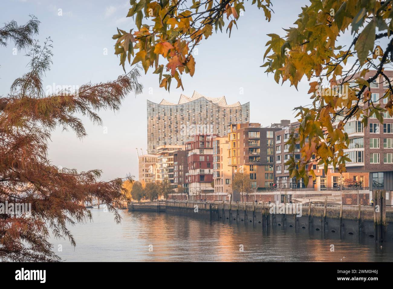 Allemagne, Hambourg, Marco Polo Terrace avec Elbphilharmonie en arrière-plan Banque D'Images