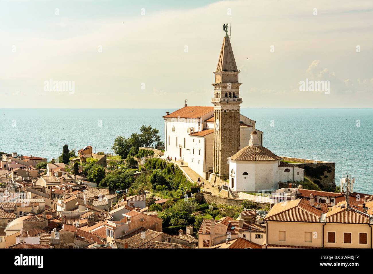 Slovénie, littoral-Karst, Piran, Duomo di San Giorgio en été avec la mer Adriatique en arrière-plan Banque D'Images