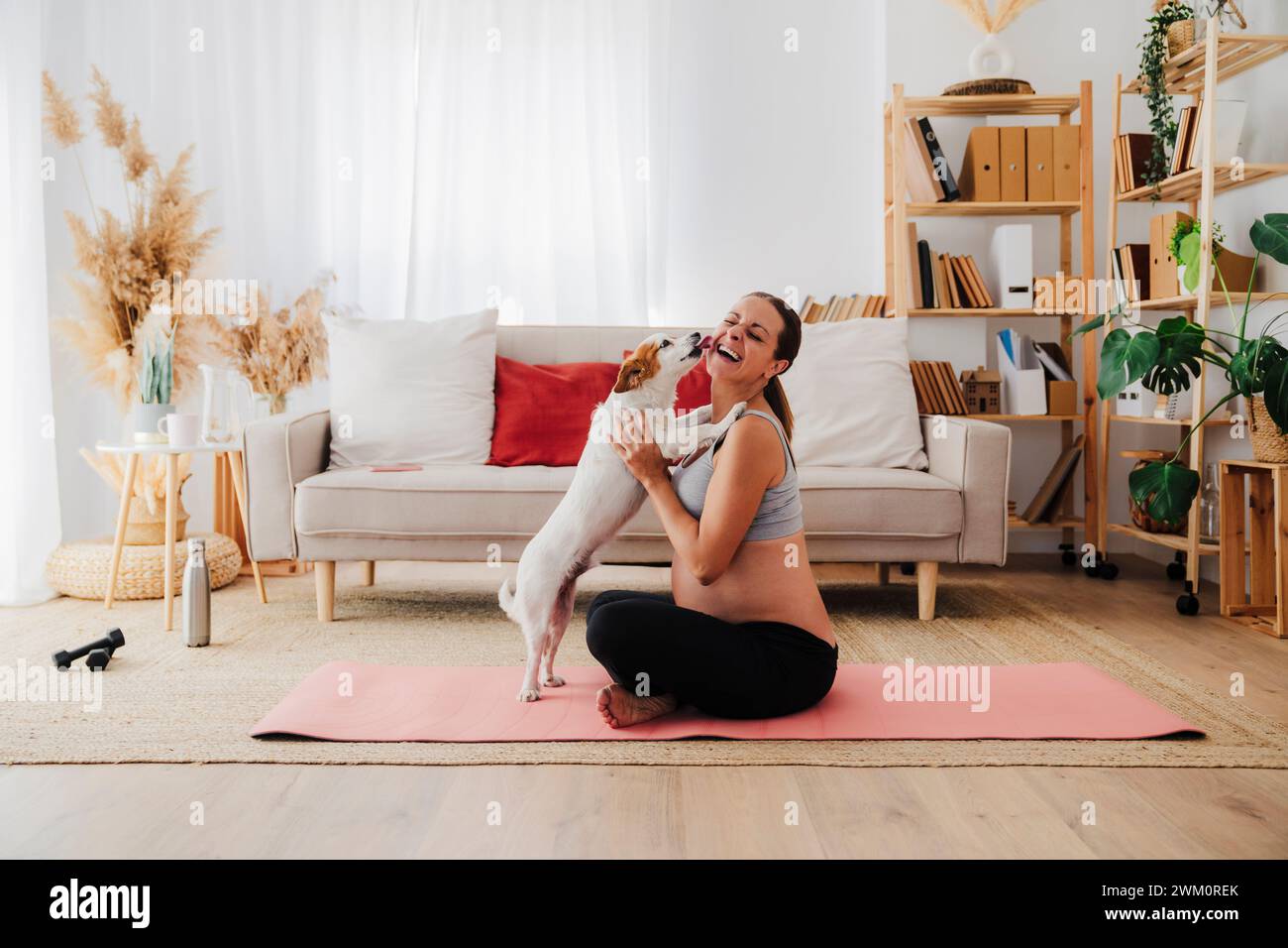 Heureuse femme enceinte appréciant le chien léchant à la maison Banque D'Images