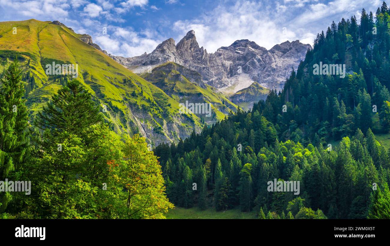 Allemagne, Bavière, Oberstdorf, vue panoramique de la vallée boisée dans les Alpes d'Allgau Banque D'Images