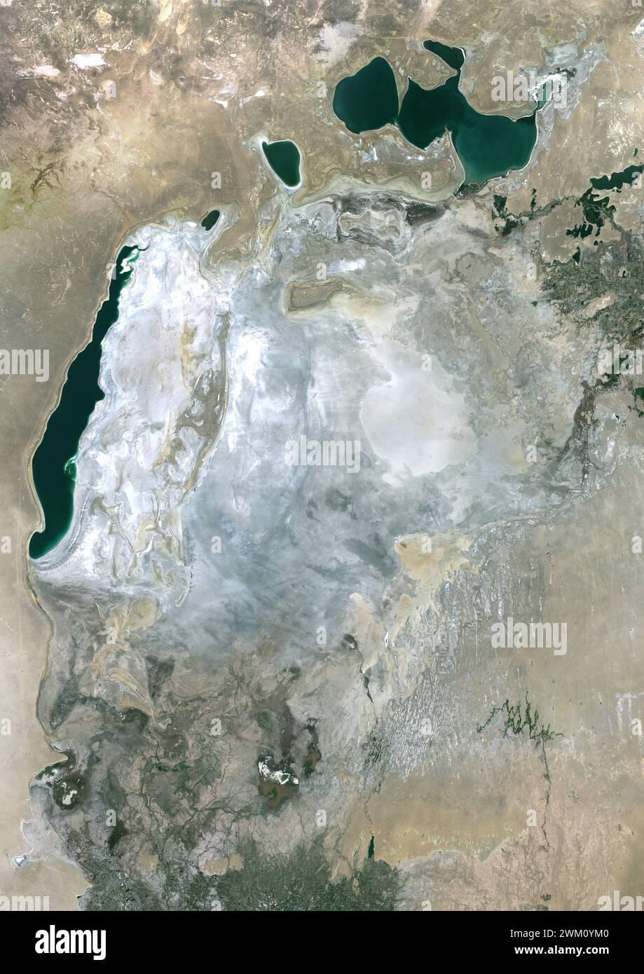 Image satellite couleur du rétrécissement de la mer d'Aral en 2020. Banque D'Images