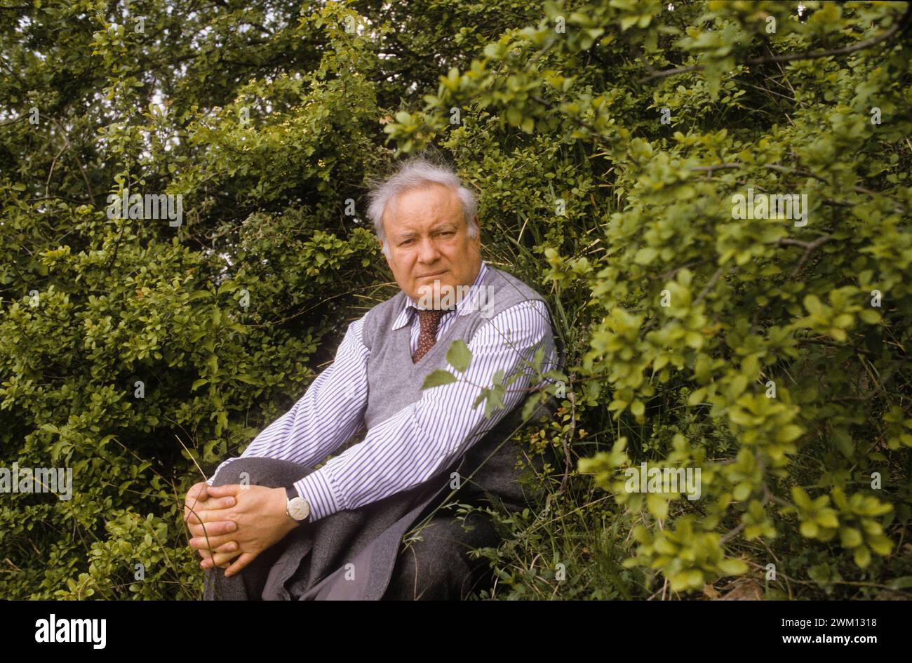 Paolo volponi Banque de photographies et d’images à haute résolution