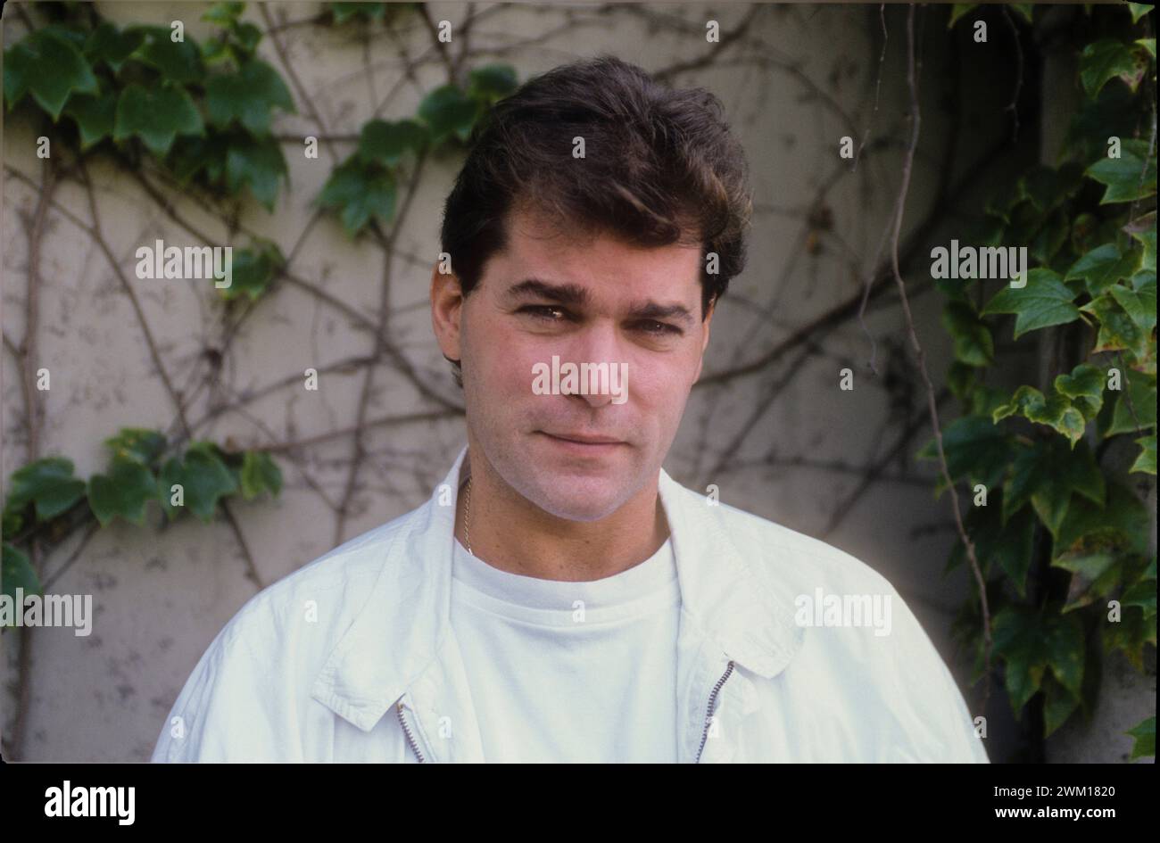 3832434 Ray Liotta ; (Lido de Venise add.info.:, Festival du film de Venise 1990. L'acteur américain Ray Liotta, en compétition avec le film 'Goodfellas' de Martin Scorsese / Lido di Venezia, Mostra del Cinema di Venezia 1990. L'attore Ray Liotta, in concorso come interprète del film 'Quei bravi ragazzi' (Goodfellas) di Martin Scorsese) ; © Marcello Mencarini. Tous droits réservés 2024. Banque D'Images