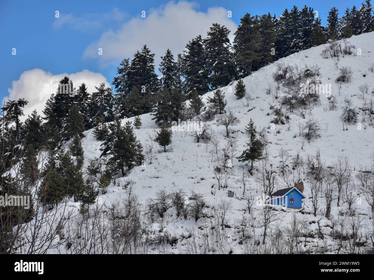 Drung, Inde. 23 février 2024. Une cabane est vue sur la colline enneigée après de fortes chutes de neige pendant une journée d'hiver à drung, à environ 45 km de Srinagar, la capitale estivale du Jammu-et-Cachemire. (Photo de Saqib Majeed/SOPA images/Sipa USA) crédit : Sipa USA/Alamy Live News Banque D'Images