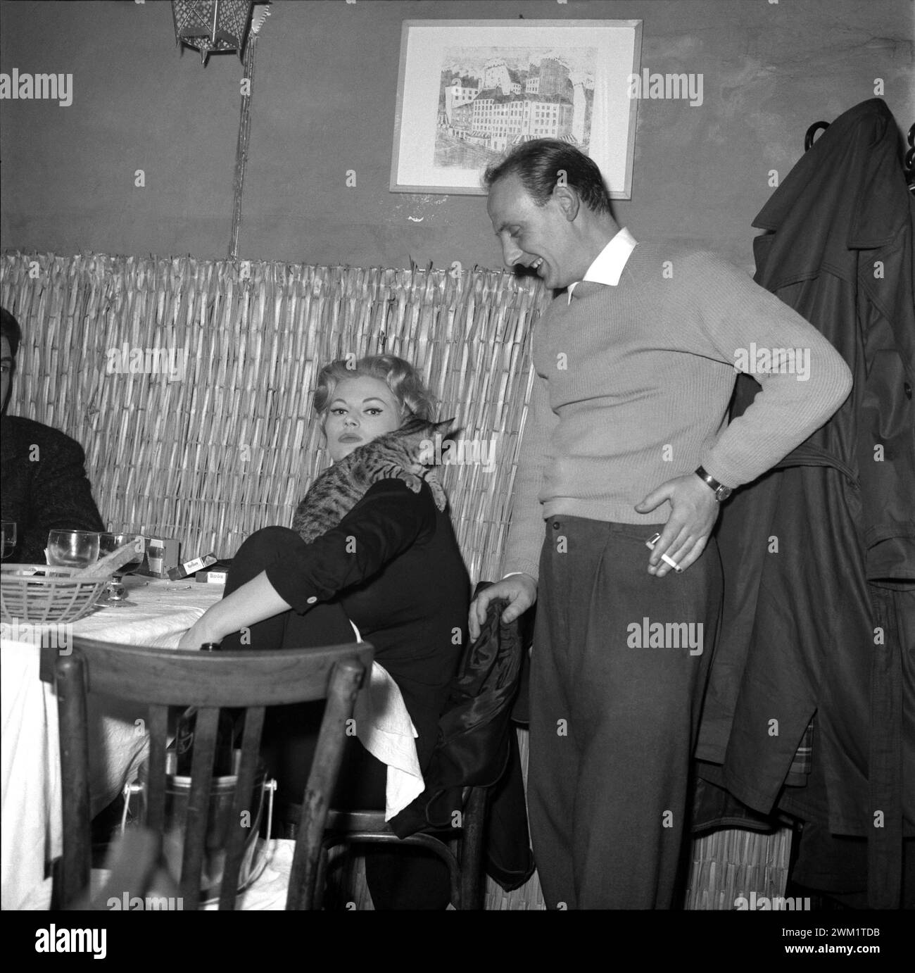 MME4722425 Rome, vers 1960. L'actrice suédoise Anita Ekberg avec un chat dans un restaurant/Roma, 1960 circa. L'attrice svedese Anita Ekberg con un gatto in un ristorante - ; (add.info.: Rome, vers 1960. L'actrice suédoise Anita Ekberg avec un chat dans un restaurant/Roma, 1960 circa. L'attrice svedese Anita Ekberg con un gatto in un ristorante -) ; photo © Aldo Durazzi/Marcello Mencarini Archives. Banque D'Images