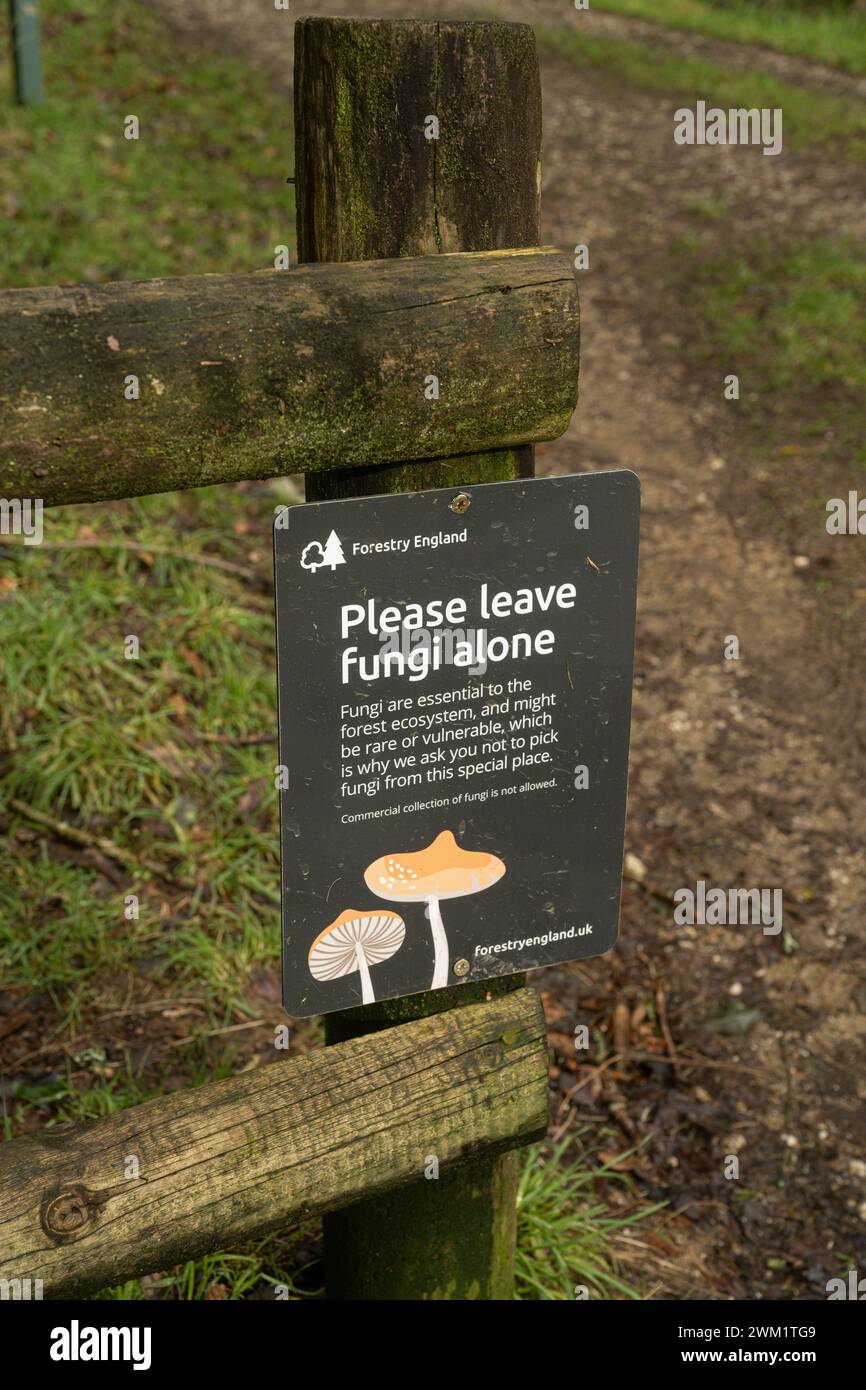 Avis sur les champignons. S'il vous plaît, laissez-vous tranquille. Cardinham Woods, Cornouailles, Royaume-Uni Banque D'Images