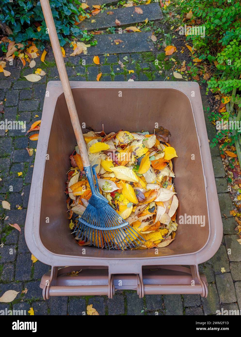 un déchet organique brun peut remplir de feuilles colorées et d'un râteau Banque D'Images