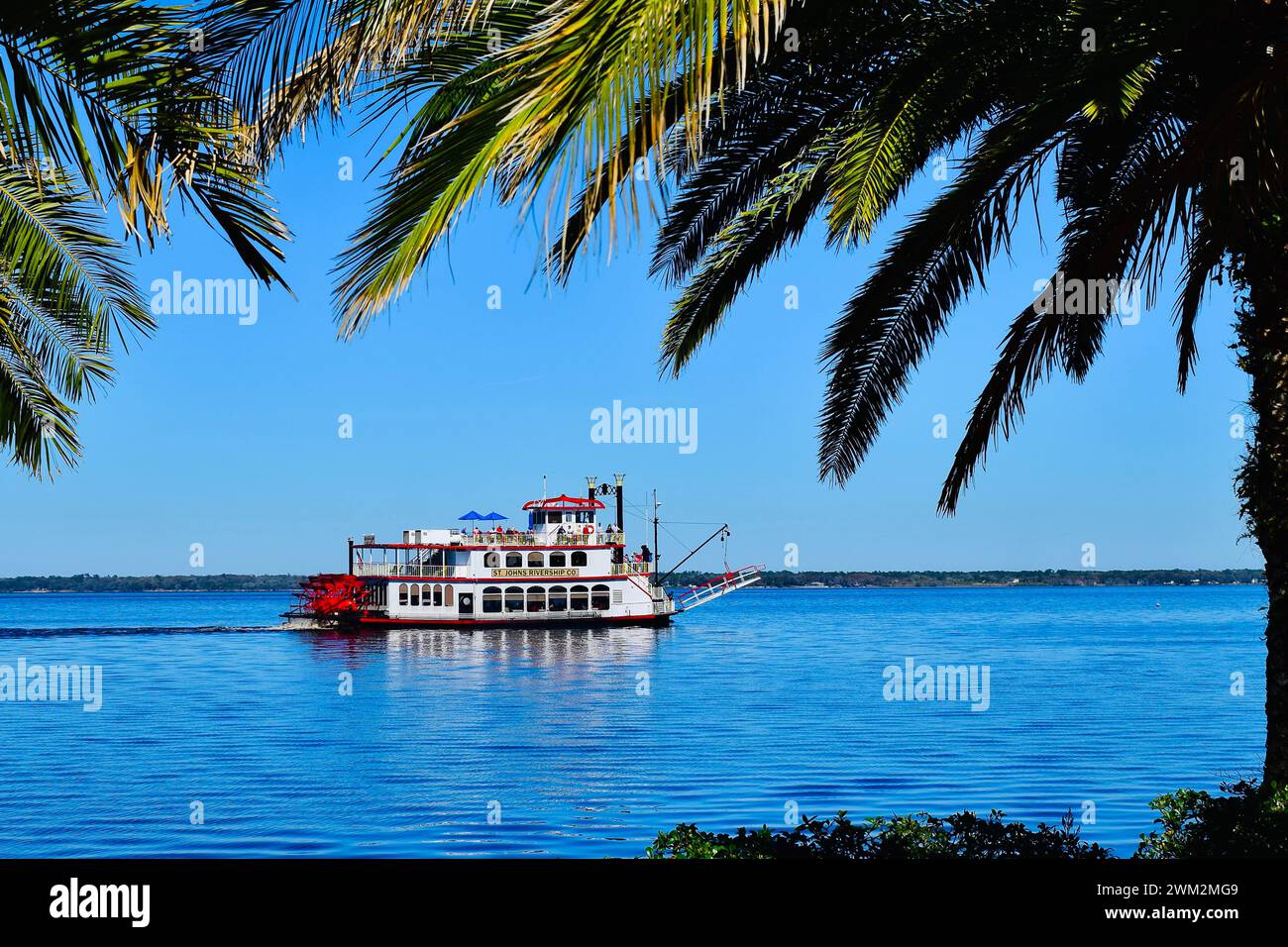 Bateau à aubes en direction de la marina encadrée par des palmiers Banque D'Images