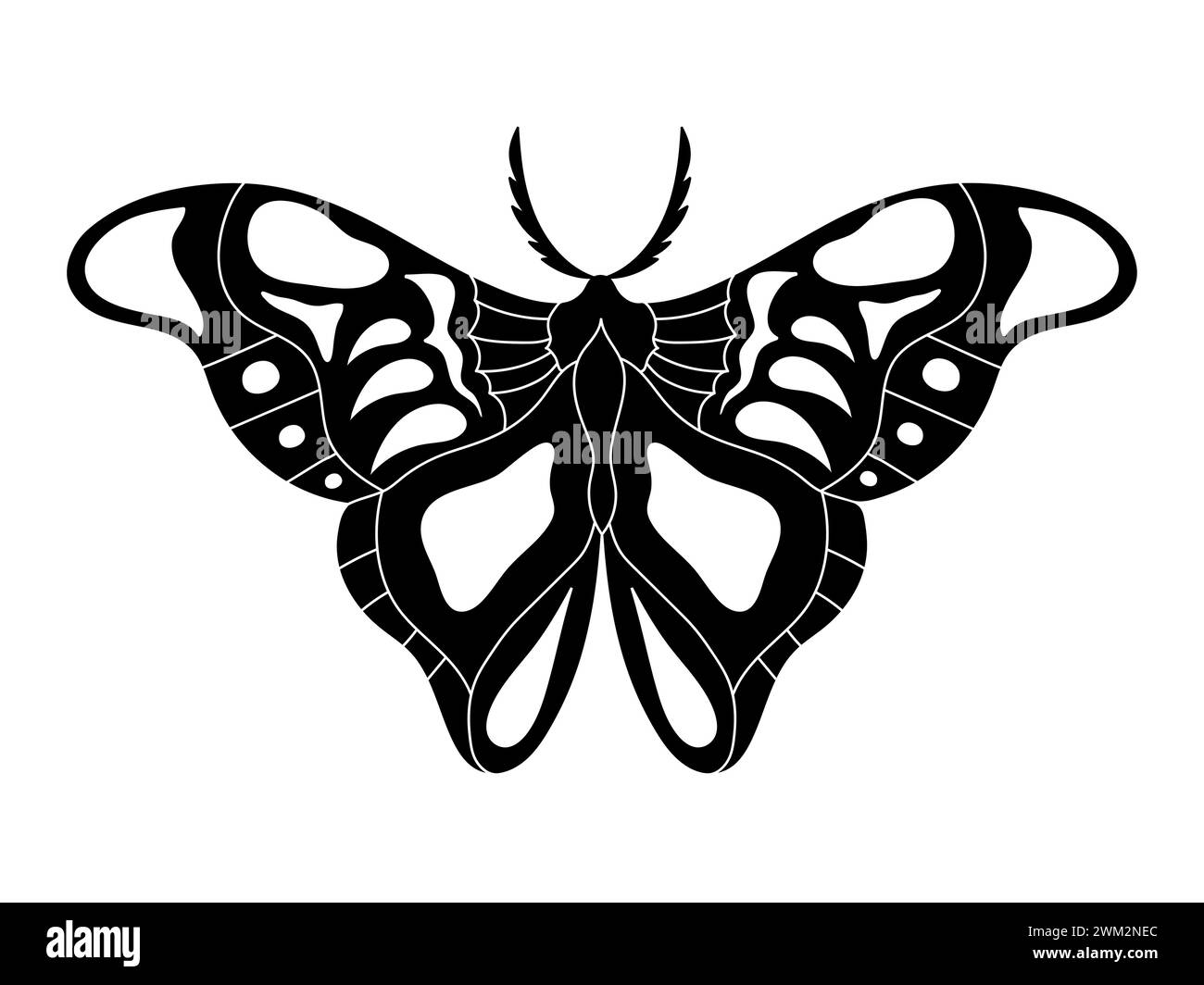 Papillon monarque monochrome. Insecte dessiné à la main. Illustration vectorielle Illustration de Vecteur
