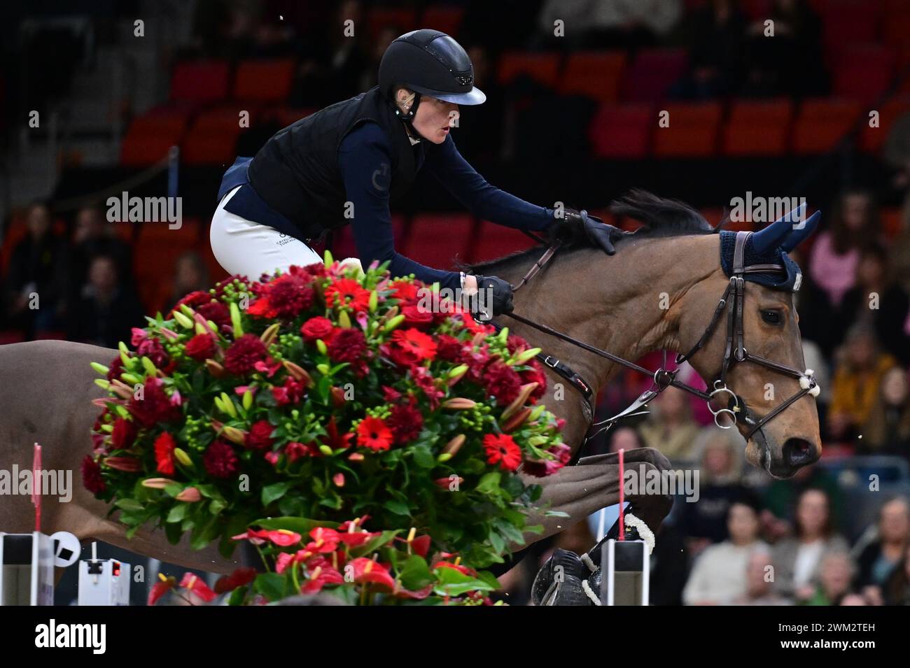 GOTHENBURG, SUÈDE 20240223La suédoise Petronella Andersson sur le cheval Odina van Klapscheut remporte le prix du saut dans le temps de Volkswagen au Gothenburg Horse Show vendredi. Photo : Björn Larsson Rosvall / TT / Code 9200 Banque D'Images