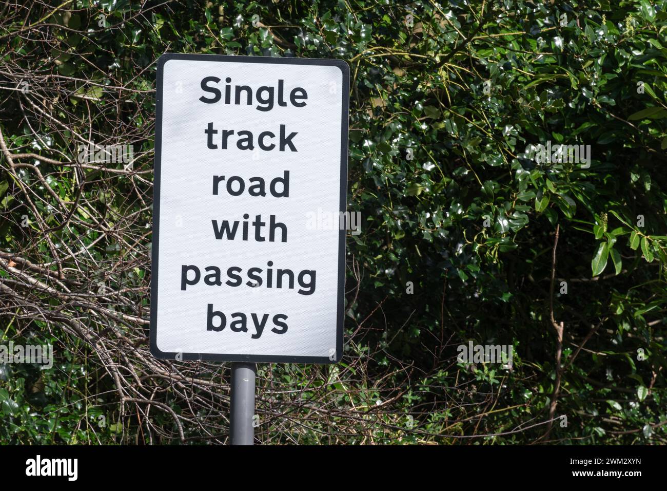 Panneau routier sur la route de campagne étroite indiquant Single Track Road with Passing Bays, Angleterre, Royaume-Uni Banque D'Images