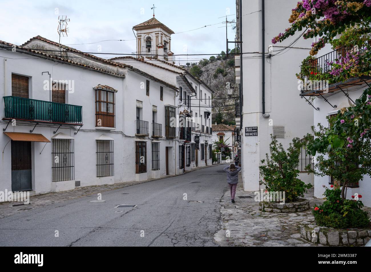 Typiques rues étroites et très jolies d'un village andalou avec des maisons blanches à Grazalema, Cadix, Espagne. Banque D'Images