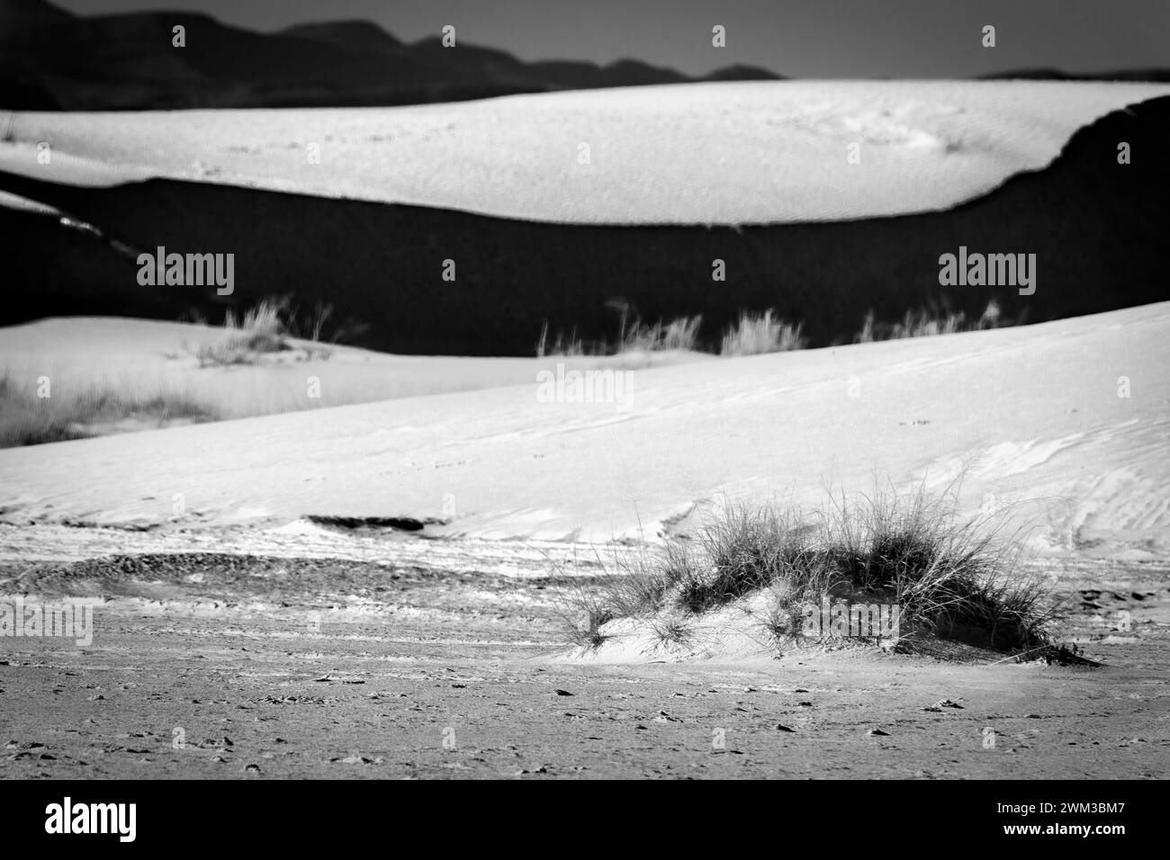 Vue hivernale sur le parc national de White Sands le jour de la Saint-Valentin 2024. Banque D'Images