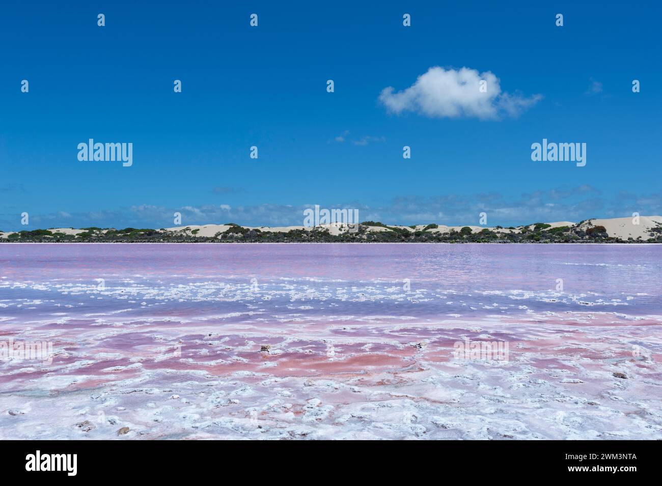 Vue sur le populaire lac rose MacDonnell, Australie méridionale, Australie méridionale, Australie méridionale Banque D'Images