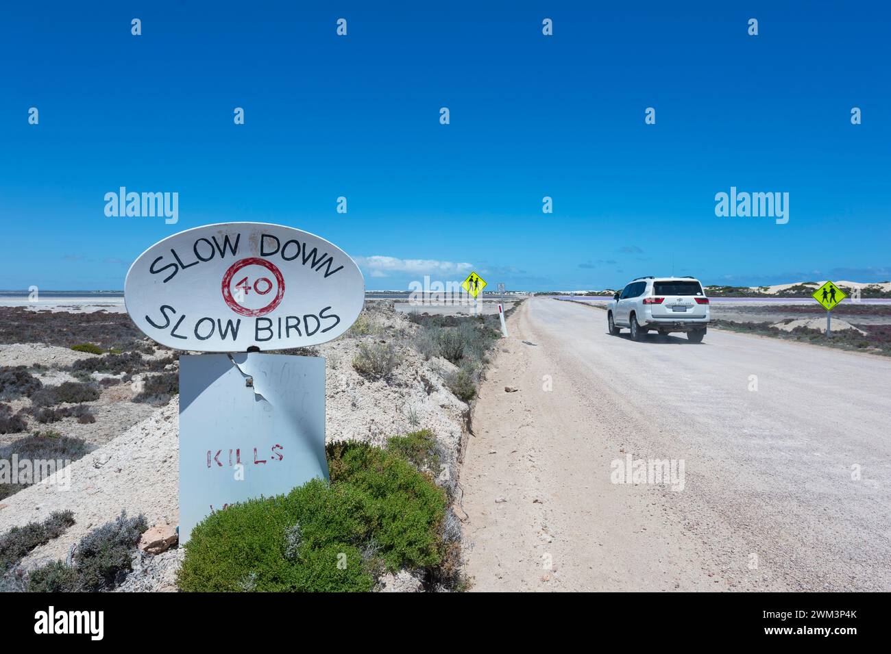Slow Down Slow Birds signe le long de la route près du lac MacDonnell, Australie méridionale, Australie méridionale, Australie méridionale Banque D'Images