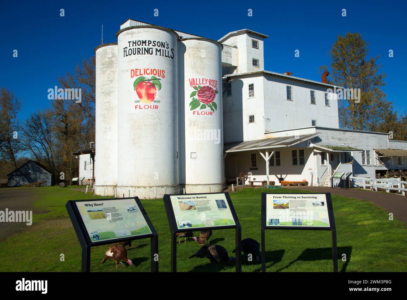 Thompson's Mills, Thompson's Mills State Park, New York Banque D'Images