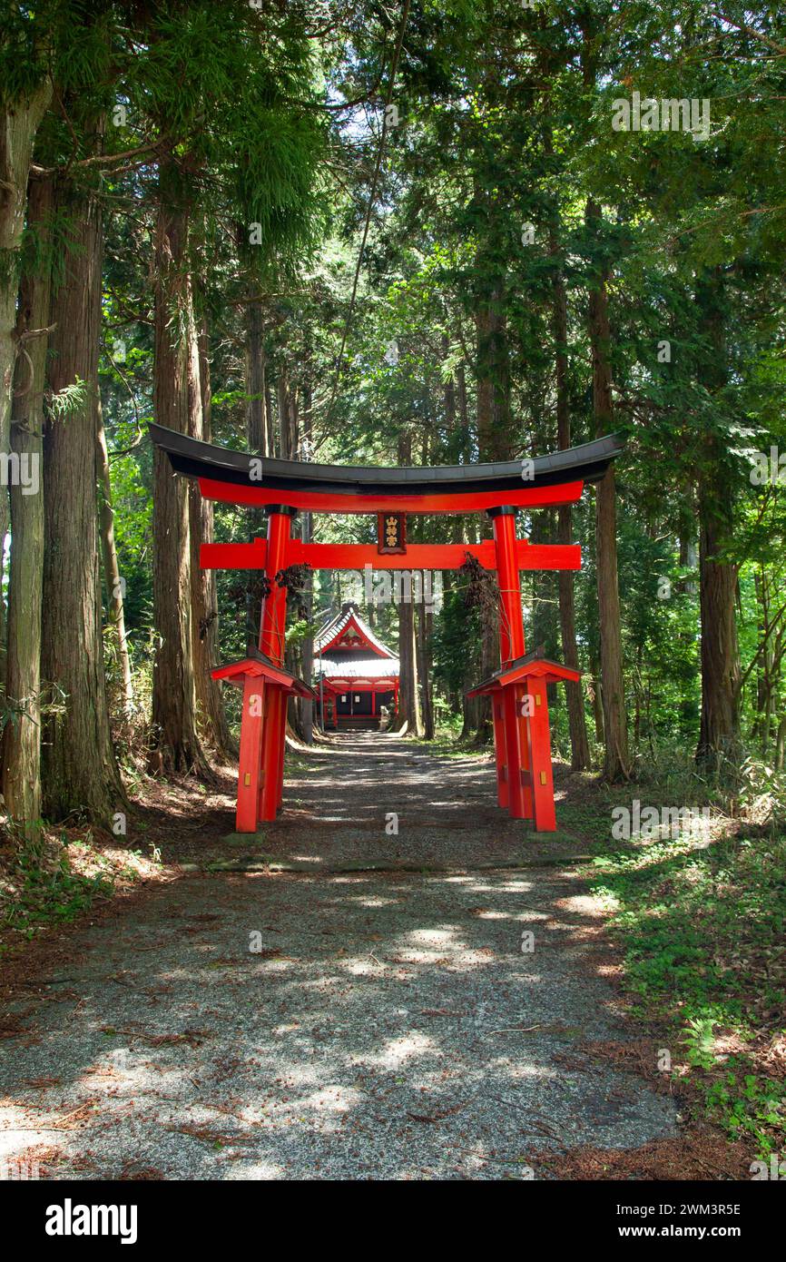 Torii, un petit sanctuaire situé dans une zone boisée à Motosu dans Fujikawaguchiko, Yamanashi, Japon. Banque D'Images