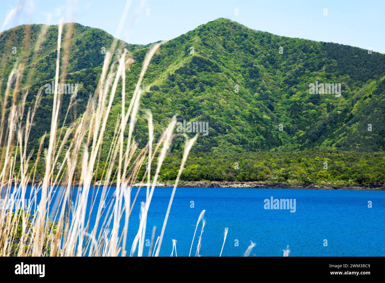 Lac Motosu dans la préfecture de Yamanashi, l'un des cinq lacs Fuji près du mont Fuji au Japon. Banque D'Images